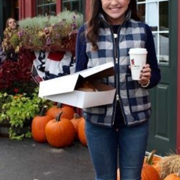 J. Crew Vest in Gingham Blue Gray & Ivory. EUC - Picture 1 of 12
